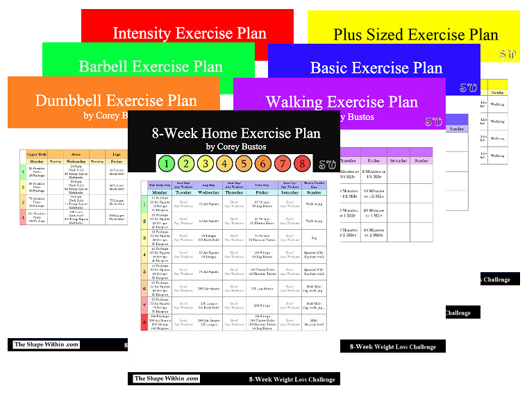 An assortment of exercise plans for the 8 Week Weight Loss Challenge, displayed to show the variety available