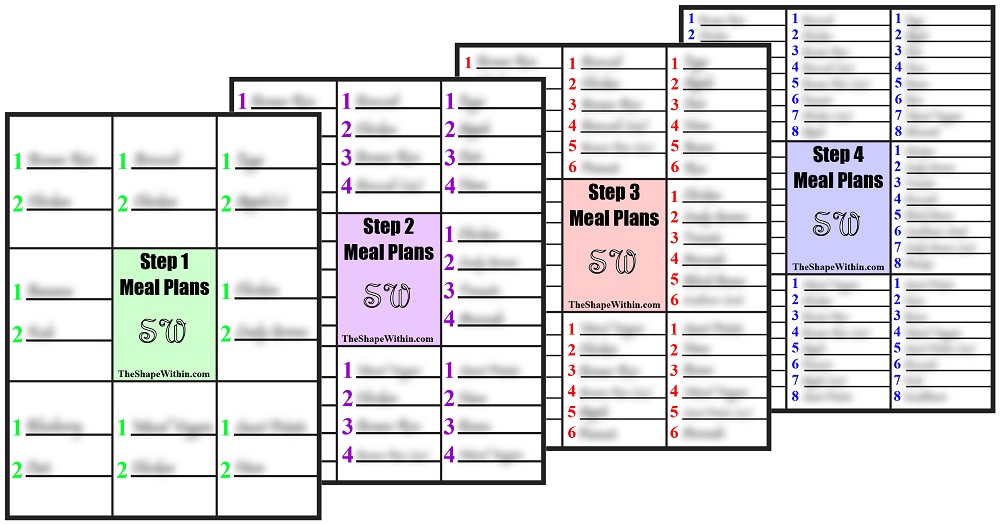 An assortment of meal plans for the 8 Week Weight Loss Challenge, displayed to show the variety available